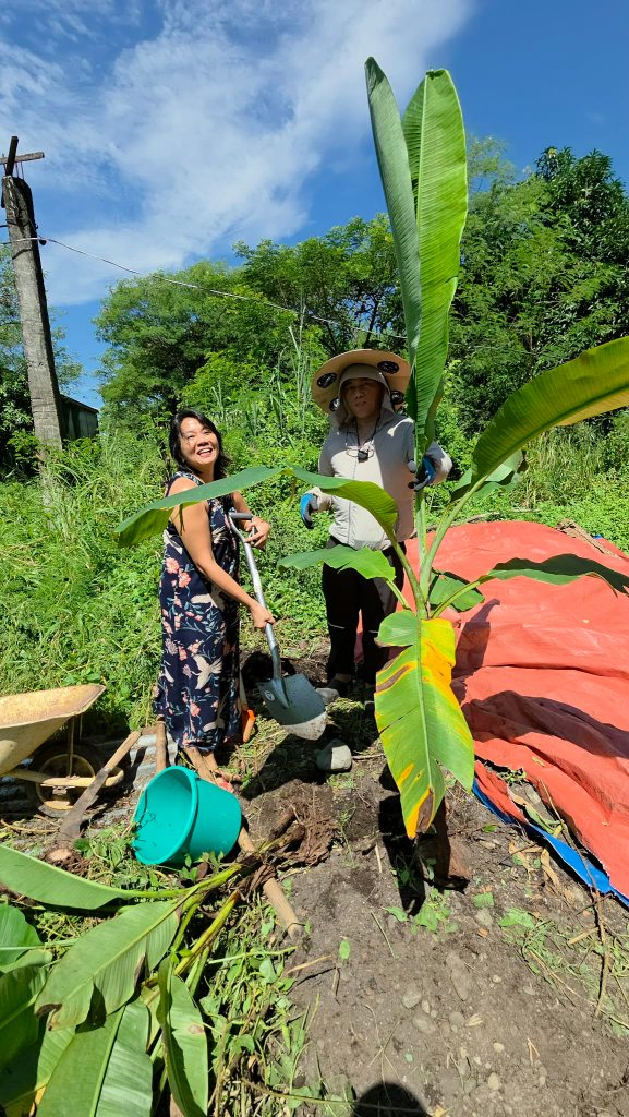 food forest initiative