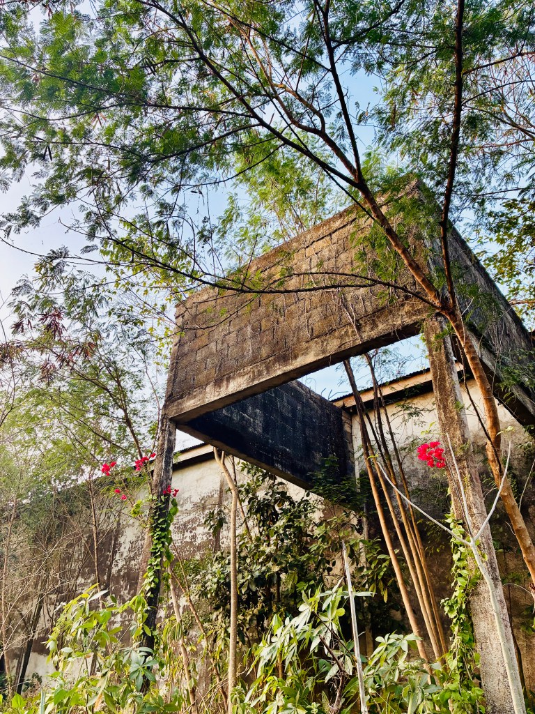 repurposed agriculture structures